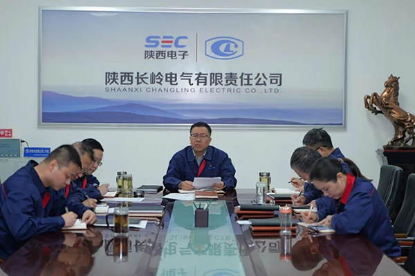 长岭电气党委理论学习中心组举办2025年...